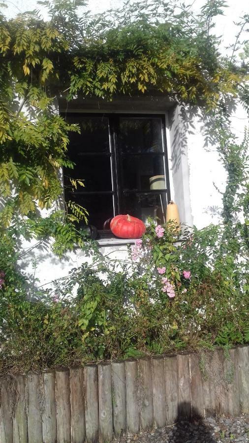 La Colline Des Roses Bed & Breakfast Conchil-le-Temple Exterior foto