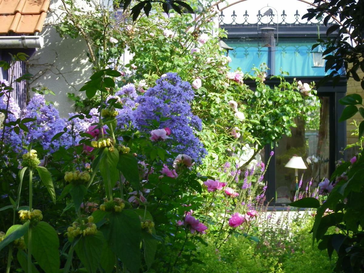 La Colline Des Roses Bed & Breakfast Conchil-le-Temple Exterior foto
